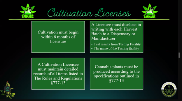 Cannabis-USVI-5.png