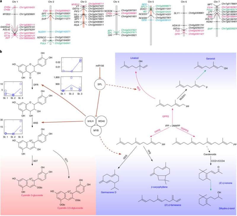 Figure 3 Figure 3