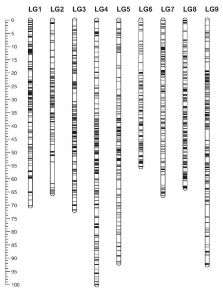 FIG1