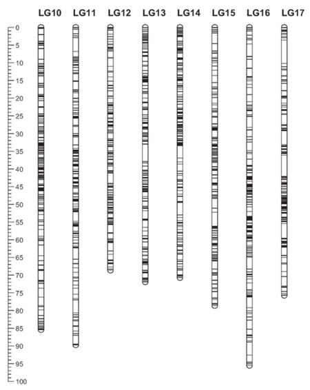 FIG2 FIG2
