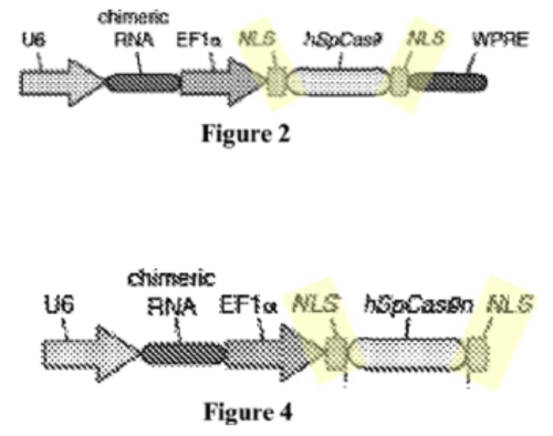 Image 4 Image 4