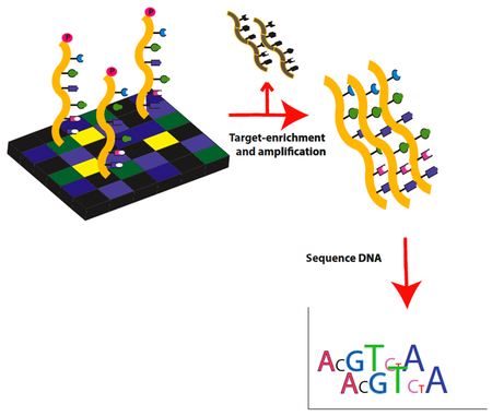 Exome_Sequencing_workflow_1b Exome_Sequencing_workflow_1b