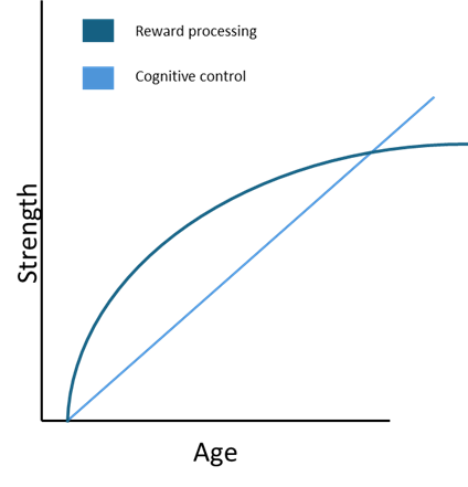 Dual systems model.
