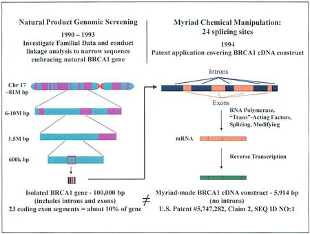 Gilead Image