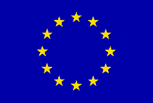 European Union (EU) Flag