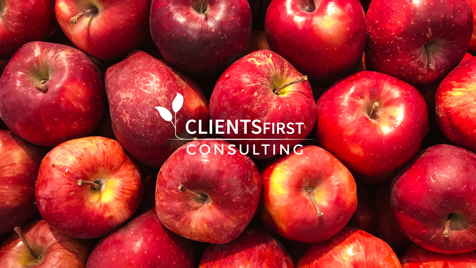 Small Actions, Big CRM Impact: Harnessing The Power Of Daily Habits