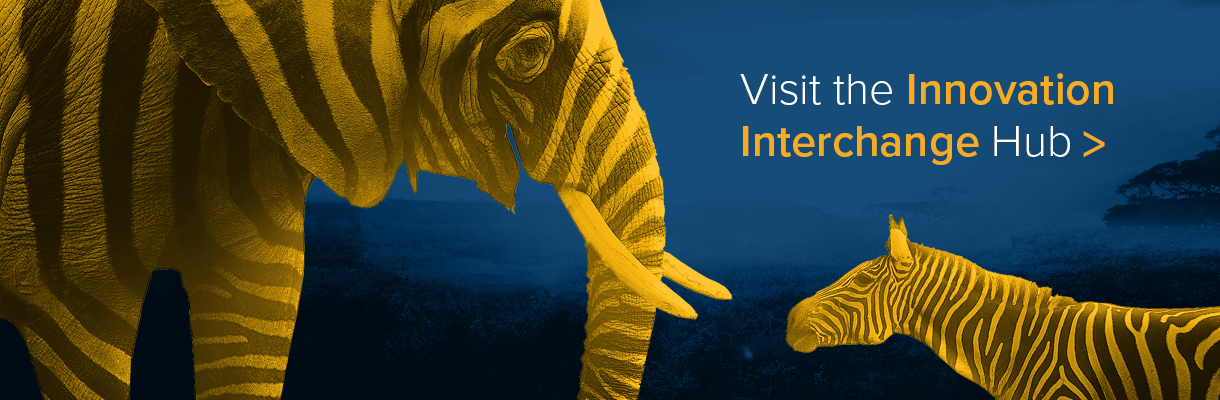 Click here to visit the Innovation Interchange Hub