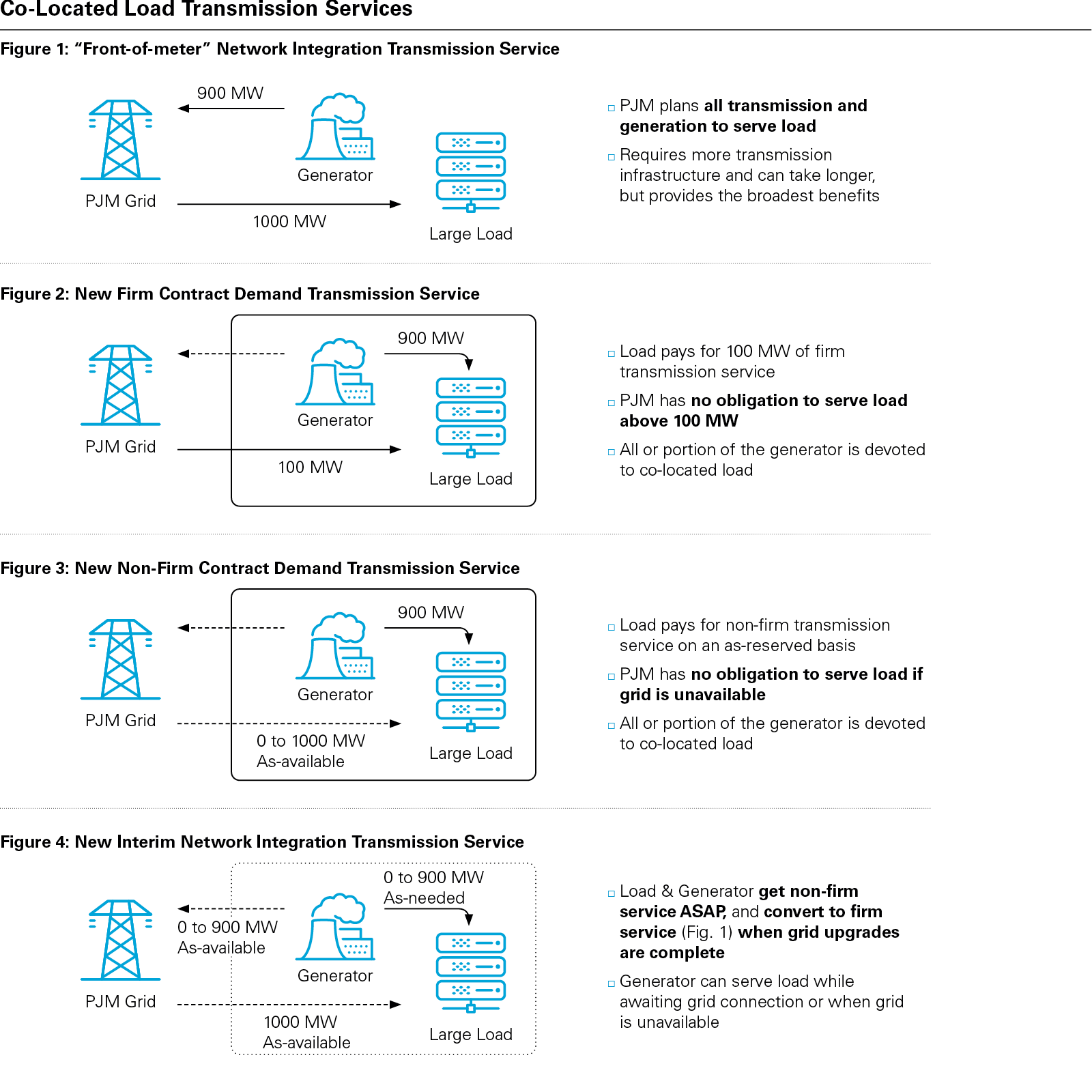 Co-Located Load Transmission Services