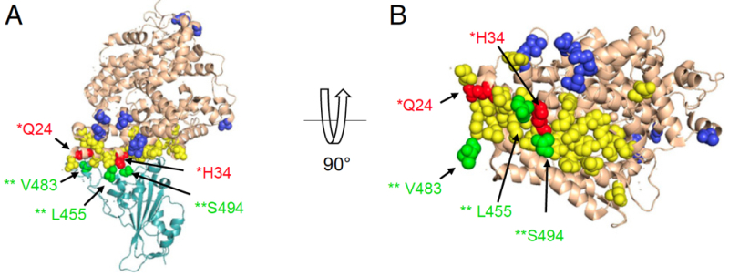 Figures 4A & 4B