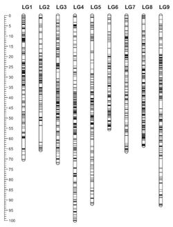 2012-08-23 FIG1