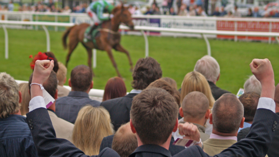 Gambling and Racehorses