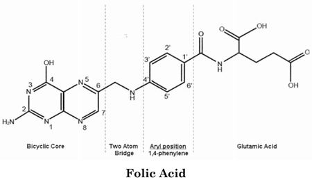 Folic Acid