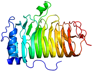 Protein_MS4A1_PDB_1S8B