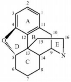 Structure 1 Structure 1