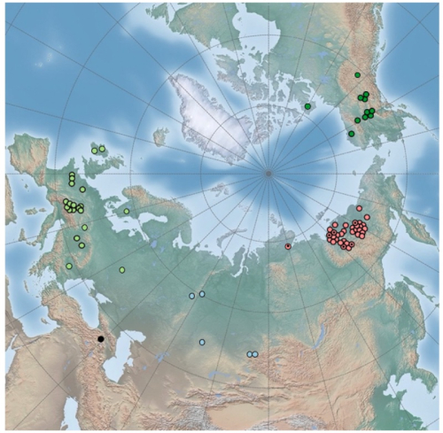 The Further Elucidation of Domestic Dog Ancestry | McDonnell Boehnen Hulbert & Berghoff LLP