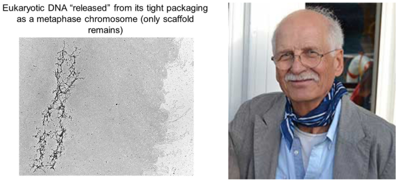 Figure 1 Figure 1