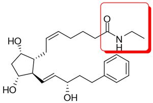 FIG1