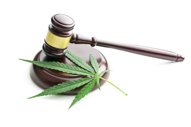 Cannabis leaf underneath a gavel