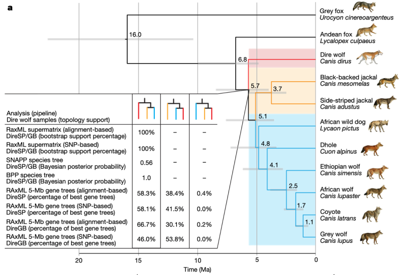 Figure 2a