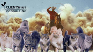 Herding Cats: Five Ways to Increase CRM Adoption