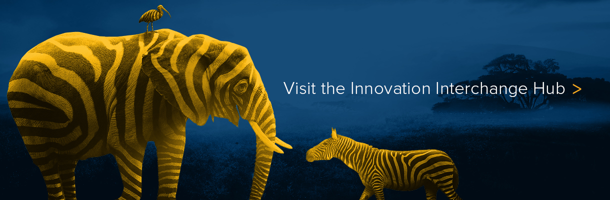 Click here to visit the Innovation Interchange hub